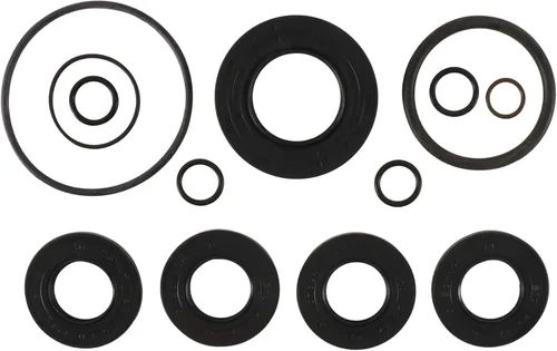 Vista 2 de All Balls Racing 25-7110 Kit de juntas de transmisión compatible con/reemplazo para Polaris Scrambler 1000 MD 2015-2017