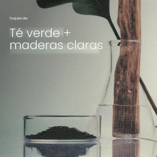 Vista 8 de Cuidado del cuero cabelludo seco Tratamiento del cuero cabelludo 3.4 Oz