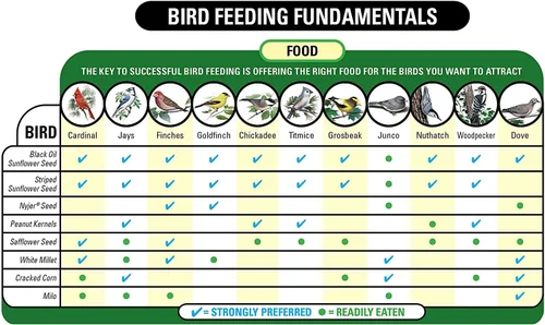 Vista 4 de Wagner's 62032 Cardinal Blend - Alimento para pájaros silvestres, bolsa de 6 libras, paquete de 2