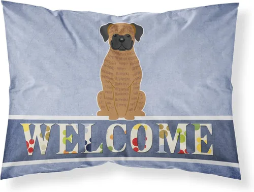 Vista 106 de Caroline's Treasures BB2515PILLOWCASE Between Friends Appenzeller Sennenhund - Funda de almohada de tela estándar, ligera, súper suave, fácil