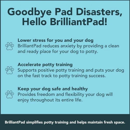 Vista 4 de BrilliantPad Orinal inteligente para interior para perros pequeños Auto limpieza con control de olores, monitoreo de salud AI, alternativa al