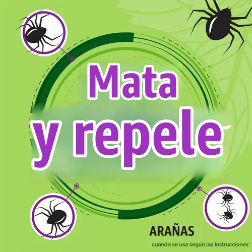 Vista 3 de Spray repelente de arañas con aceite de menta de Mighty Mint – Control natural de insectos para interiores y exteriores para arañas e insectos