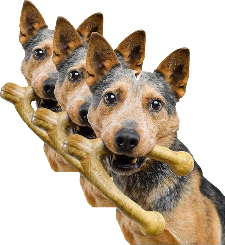 Vista 8 de Pet Qwerks Wishbone BarkBone - Juguete masticable de nailon para masticadores agresivos, sabor a mantequilla de maní, 8.25 pulgadas