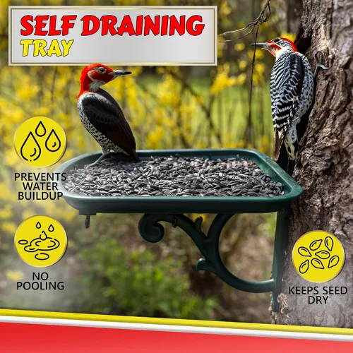 Vista 5 de Comedero para pájaros al aire libre, bandeja para pájaros silvestres y ardillas para exteriores, cardenal, pinzón, cardo, pájaro carpintero, pájaro