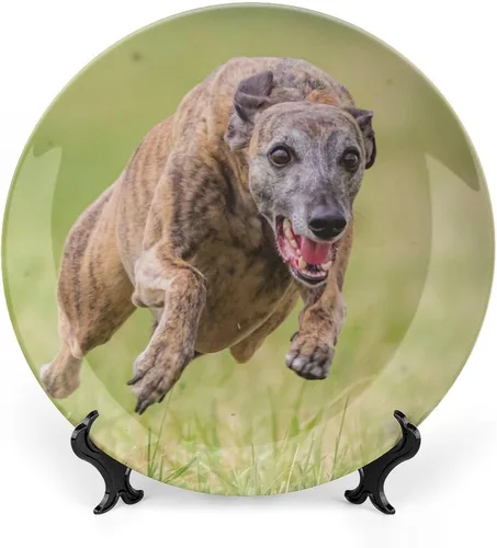 Vista 17 de Plato decorativo de animales silvestres de África para cocina, recuerdo de cerámica para colgar en la pared con soporte de exhibición, decoración