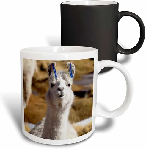 Vista 13 de 3dRose Taza de café, tamaño - 15oz - Argentina, Santa Rosa de los Pastos Grandes, llama - SA01 JRI0222 - Jutta Riegel Llamas - divertida taza