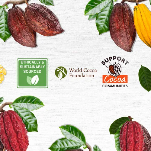Vista 7 de Palmer's Fórmula de manteca de cacao, terapia diaria para la piel, fórmula sólida, 7.25 onzas (paquete de 12)