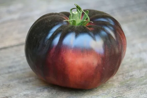 Vista 7 de Semillas de tomate elefante negro - Vegetal de reliquia - Sin OMG