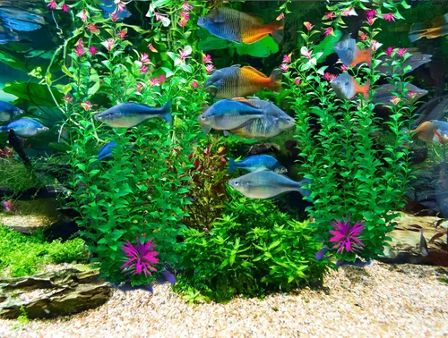 Vista 8 de 2 plantas de decoración de acuario de 21 pulgadas, plantas de plástico artificial extra grandes con flores, decoración de pecera alta para pecera