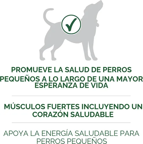 Vista 4 de Purina ONE Plus - Alimento seco para perros con fórmula de cordero y arroz de raza pequeña, bolsa de 3.8 libras Fórmula de cordero y arroz