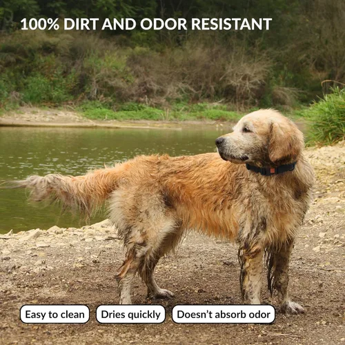 Vista 3 de CollarDirect Collar de perro impermeable – Silicona, plástico, resistente al olor, fácil de limpiar, para perros pequeños, medianos y grandes