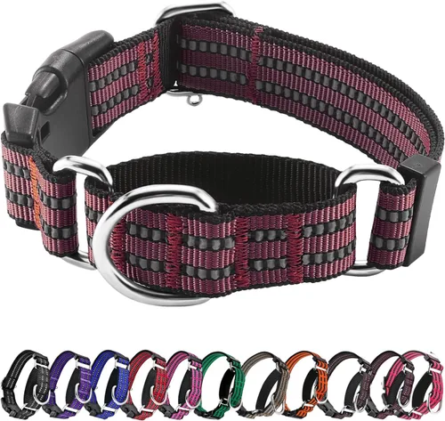 Vista 24 de Hikiko Martingale - Collar reflectante de nailon para perro con hebilla de liberación rápida, ajustable, collar de entrenamiento antideslizante