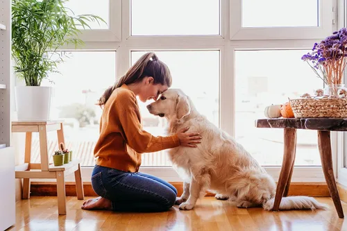 Vista 4 de Nutri Chomps Masticables para perros, sabor a pollo real - Giros y trenzas