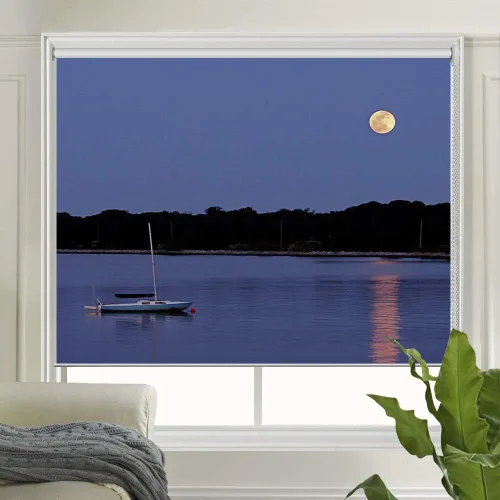 Vista 19 de LETAU - Persianas de ventana opacas, cortinas enrollables con protección UV impresa para el hogar, puerta, hotel, restaurante