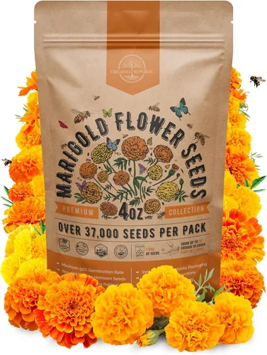 Vista 21 de Paquete de semillas de caléndula 1 oz - Más de 3,250 semillas de caléndula criollas sin OMG para plantar en jardinería interior y exterior, semillas