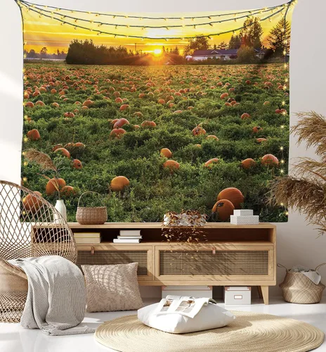 Vista 8 de Ambesonne Tapiz de calabaza de otoño, tamaño Queen, foto temática de agricultura de otoño, parche de frutas de temporada al atardecer, colcha