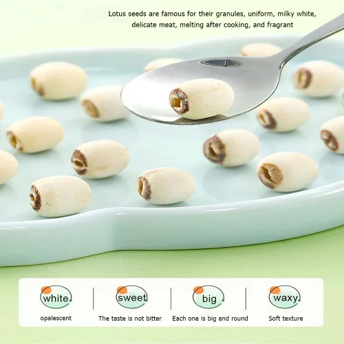 Vista 6 de Semilla de loto blanco seca 10.58oz hueco perfecto para sopa de postre dulce, pasta Soak Before Cooking,Reduce Time,Perfect For Soups, Congee