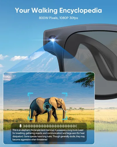 Vista 3 de CJkao Lentes inteligentes con cámara, gafas de cámara HD, grabación de video, control de asistente de voz, Bluetooth, música, gafas ai