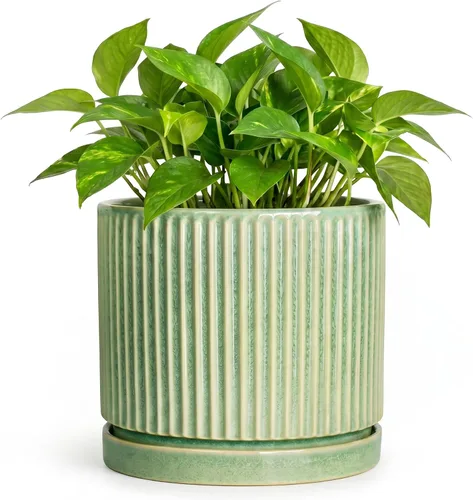 Vista 68 de 8 Inch Flower Pot, Ceramic Planters, Round Plant Pot, Beige