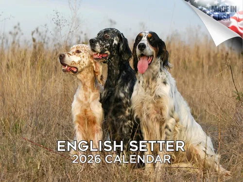 Vista 102 de Calendario de Lebrel Afgano 2025 2026, calendario mensual de pared de raza canina, 12" x 18" abierto, papel grueso sin traspaso, ideal para regalo