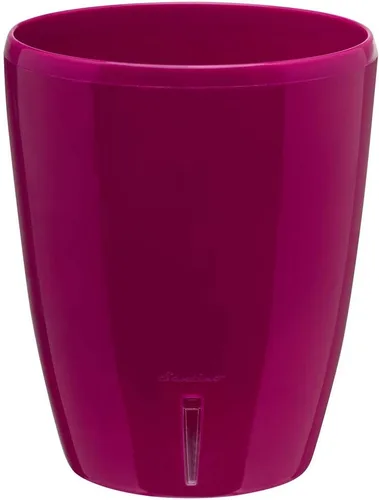 Vista 32 de Santino Macetas de 4.9 Pulgadas ORCHIDEA de Riego Automático para Orquídeas en Grafito - Maceta Decorativa para Sembrar con Excelente Aireación