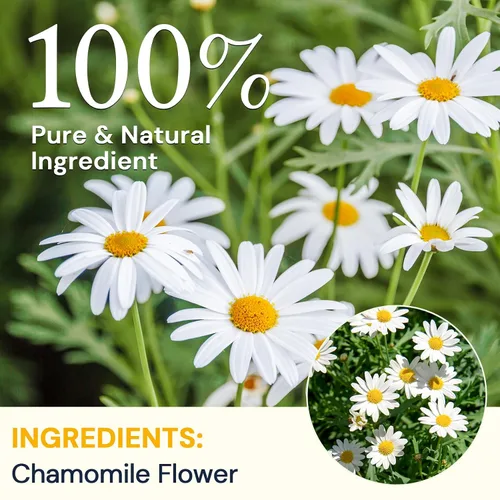 Vista 2 de Bolsitas de Té de Manzanilla, Té Herbal de Flores de Manzanilla - Sin Azúcar, Sin Cafeína, 50 Bolsitas Flores de manzanilla secas, aroma floral