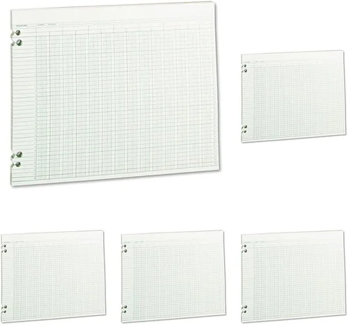 Vista 6 de Wilson Jones Hojas de contabilidad, seis columnas, 9-1/4 x 11-7/8, verde, paquete de 100 hojas sueltas (WLJG106)