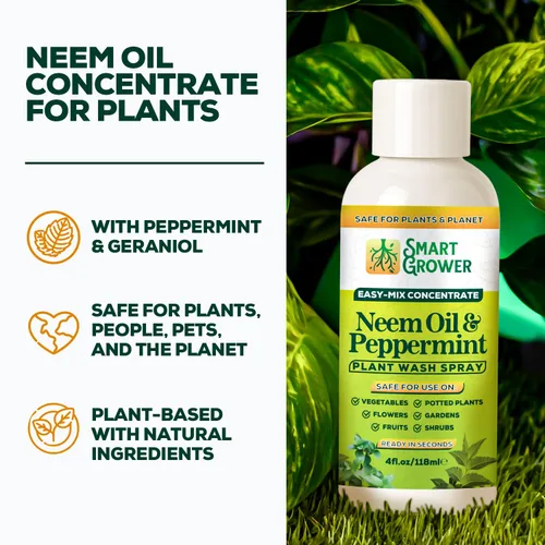 Vista 2 de Aerosol de aceite de neem para plantas con aceite de menta, para plantas de interior y exterior, jardines y plantas de interior, recambio