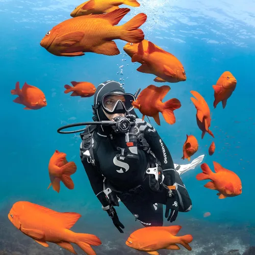 Vista 3 de Máscara de buceo, esnórquel y superficie para buceo solo ScubaPro