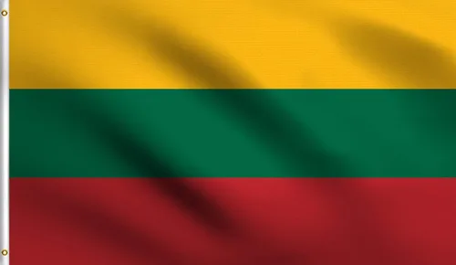 Vista 139 de DMSE - Bandera nacional beninesa beninesa de la República de África Occidental, 2 x 3 pies, 100 % poliéster, 100 % poliéster, resistente a los rayos