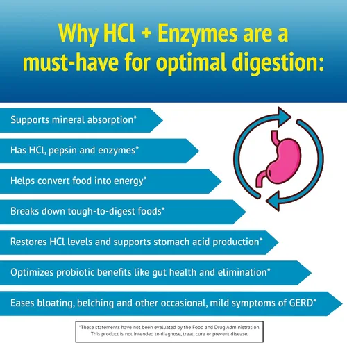 Vista 5 de Smidge™ HCl + Enzimas – Digestión – 120 Cápsulas