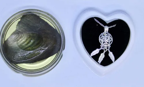 Vista 2 de Atrapasueños Love Wish Collar de perlas con colgante de perlas cultivadas y cadena de acero inoxidable de 16 pulgadas