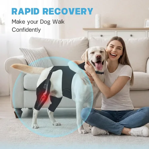 Vista 4 de Rodilleras para perro para soporte de pierna trasera, soporte ACL Negro