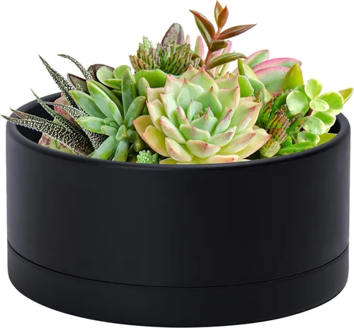 Vista 11 de D'vine Dev - Maceta redonda para suculentas de 8 pulgadas, color negro, 76-Z-B-1 Wide Bowl Design, Thick-Walled Durable Construction, Enhanced