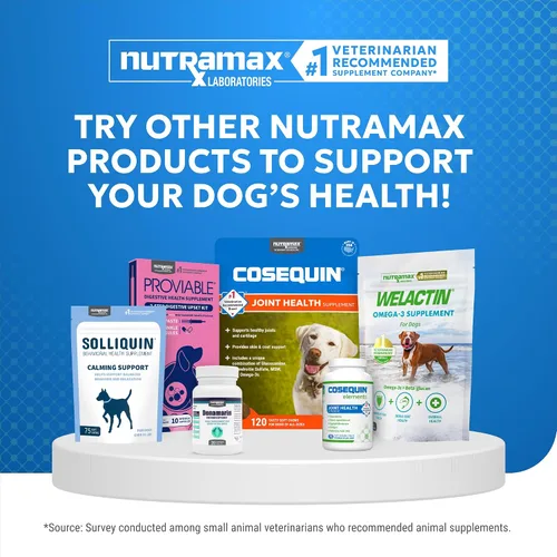 Vista 6 de Nutramax Cosequin Elements - Suplemento de salud articular para perros, contiene glucosamina para perros, MSM, apoya articulaciones saludables