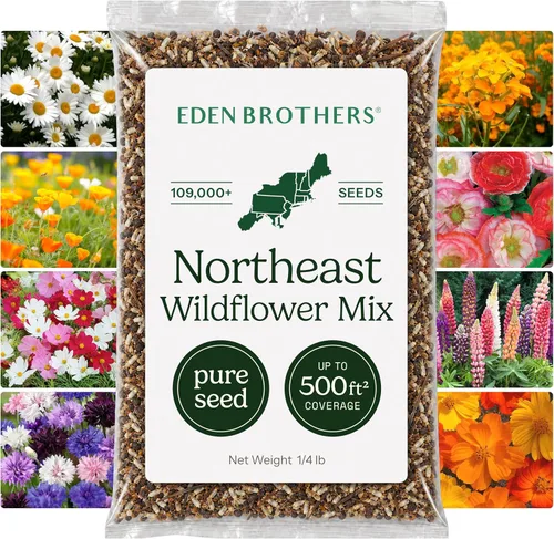 Vista 23 de Eden Brothers Native Western Xeriscape - Mezcla de semillas de flores