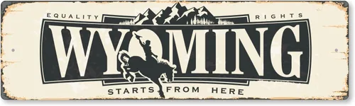Vista 7 de SmartSign Letrero de Metal Vintage del Estado de Alabama de 4 x 14 pulgadas "Welcome To Heart Of Dixie", Aluminio Antioxidante de 40 mil