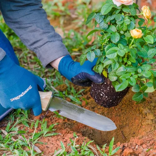 Vista 2 de Berry&Bird Hori Hori - Cuchillo de jardín multiusos con hoja afilada de doble filo de acero inoxidable de 7 pulgadas, cuchillo de tierra con funda