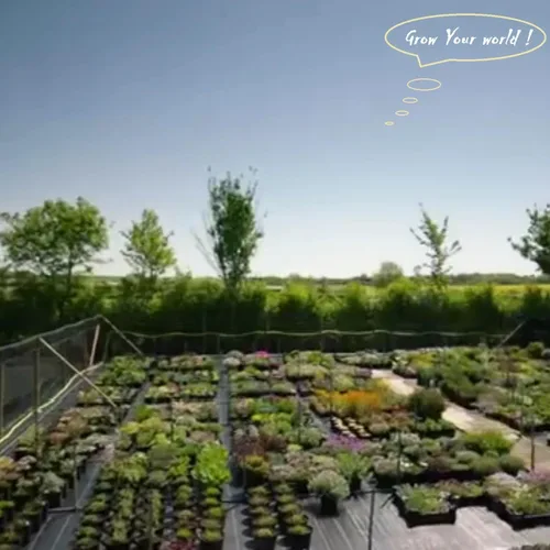 Vista 9 de Paquete de 5 bolsas gruesas de 1 galón para vivero, bolsas de cultivo de plantas (7 x 6 pulgadas), macetas de tela para macetas, bolsa de jardín