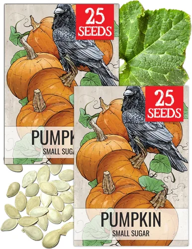 Vista 22 de Seed Needs Semillas de calabaza para plantar calabazas pequeñas de tarta de azúcar, semillas de verduras sin OMG y sin tratar para plantar un huerto