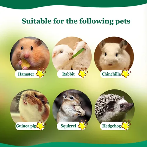 Vista 7 de BWOGUE Bocadillos para mascotas de 10.58 oz, juguete masticable de bambú dulce para ardillas, conejillos de indias, hámster chinchilla