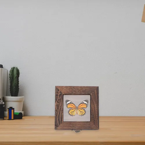 Vista 8 de Mipcase Vitrina de madera con tapa de cristal para joyas, almacenamiento de accesorios, bandeja de joyería de madera para coleccionables, caja