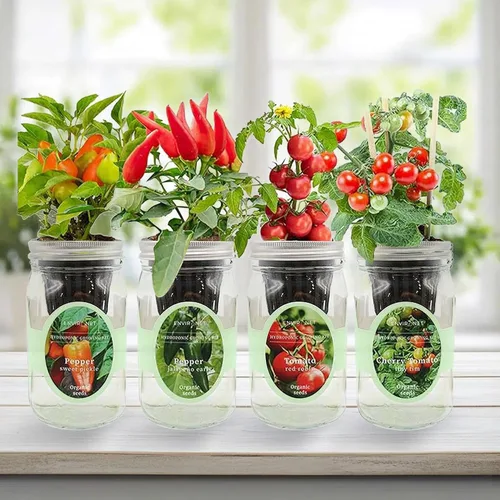 Vista 5 de Kit de cultivo de hierbas hidropónicas, tarro de masón de riego automático, kit de inicio de jardín de hierbas para interiores, cultiva 4 tipos