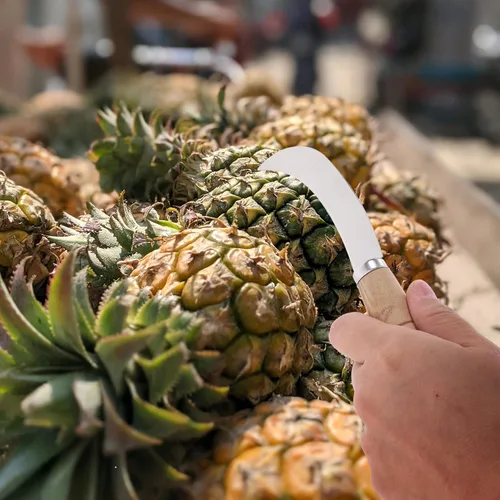 Vista 7 de Abaodam Cuchillo de piña curvado cortador de frutas de acero inoxidable mini cuchillo de hoz para cocina hogar restaurante uso