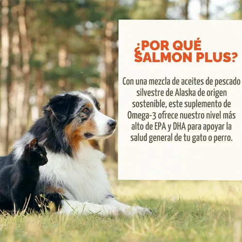 Vista 7 de Grizzly Pet Products Salmon Plus Omega 3-6-9 Suplemento alimenticio para perros y gatos, 32 onzas