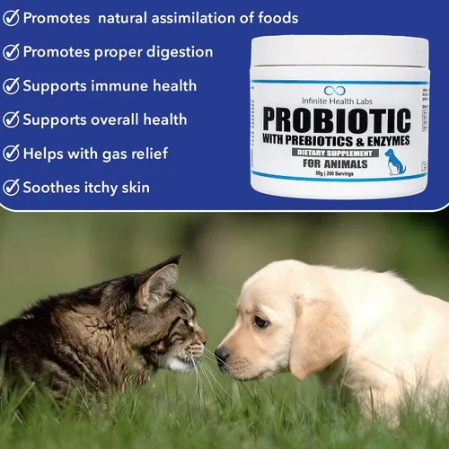 Vista 3 de Probióticos para perros y gatos – Formulado por veterinarios, fabricado en Estados Unidos, prebiótico y enzimático para mascotas en polvo