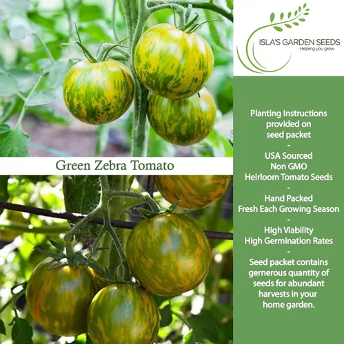 Vista 2 de Semillas de tomate Green Zebra (Solanum lycopersicum) – Más de 50 semillas tradicionales no transgénicas de Isla's Garden Seeds, tomates verdes a