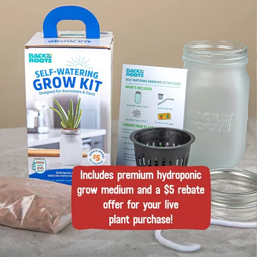 Vista 6 de Back to The Roots Kit de cultivo de riego automático: macetas hidropónicas de vidrio para suculentas y sistema de riego automático de cactus