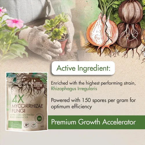 Vista 3 de Micorrizas 4X de 4 onzas para plantas – Inoculante de micorrizas – Potenciador de raíces y Myco concentrado, micorrizal superior para plantas, polvo