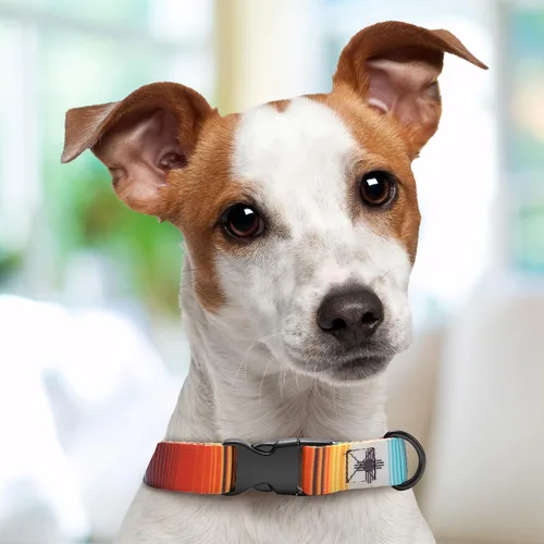 Vista 5 de Western Serape Dog Collar Personalized (X-Small 5/8")